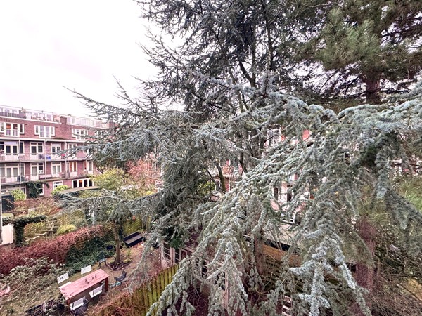 Medium property photo - Eendrachtstraat 20-2, 1078 XZ Amsterdam